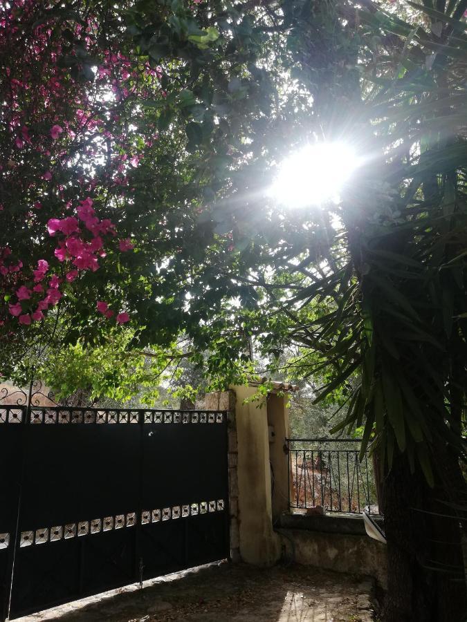 Olea Home Agia Pelagia Chlomou エクステリア 写真