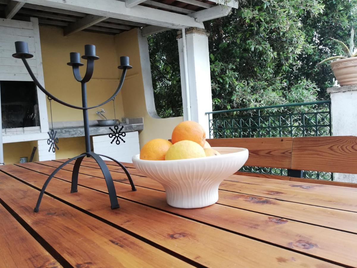 Olea Home Agia Pelagia Chlomou エクステリア 写真