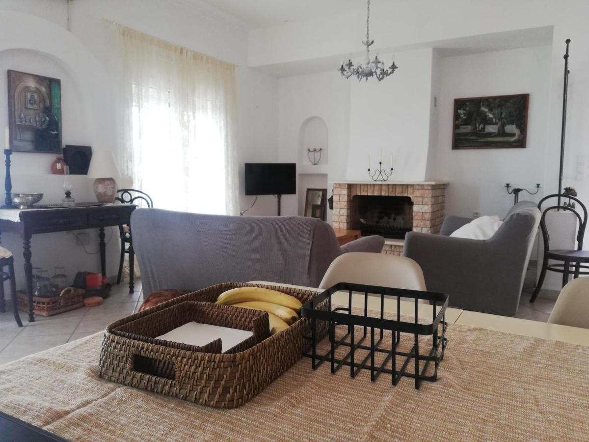 Olea Home Agia Pelagia Chlomou エクステリア 写真