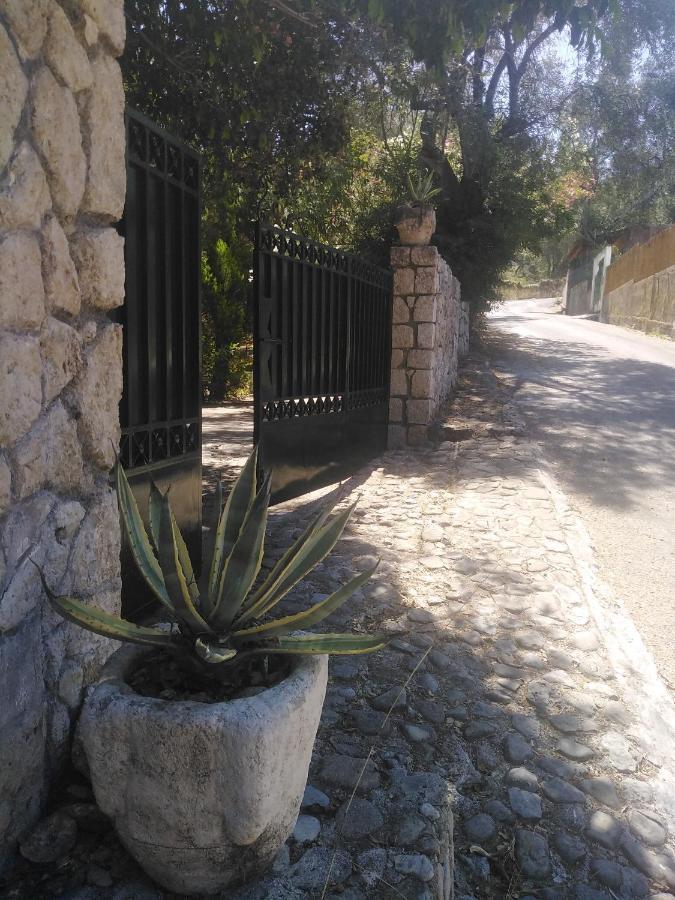 Olea Home Agia Pelagia Chlomou エクステリア 写真