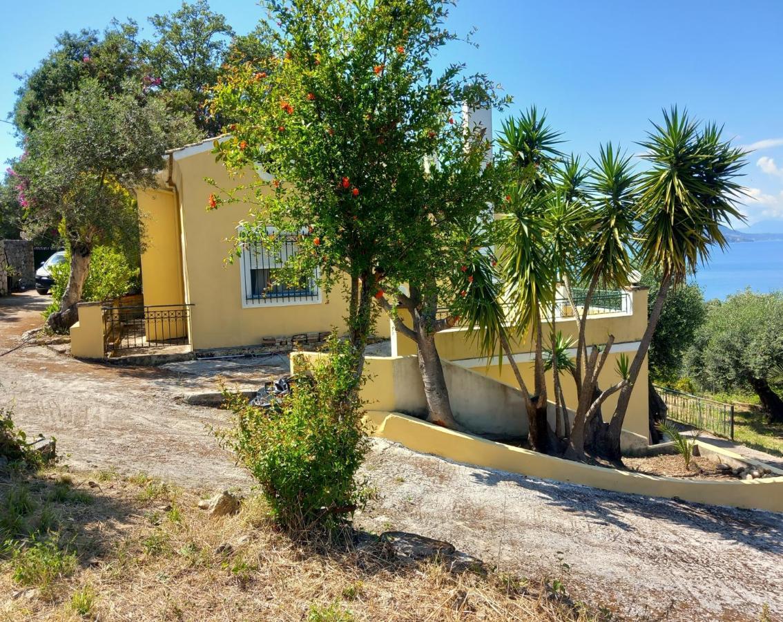 Olea Home Agia Pelagia Chlomou エクステリア 写真