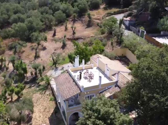 Olea Home Agia Pelagia Chlomou エクステリア 写真