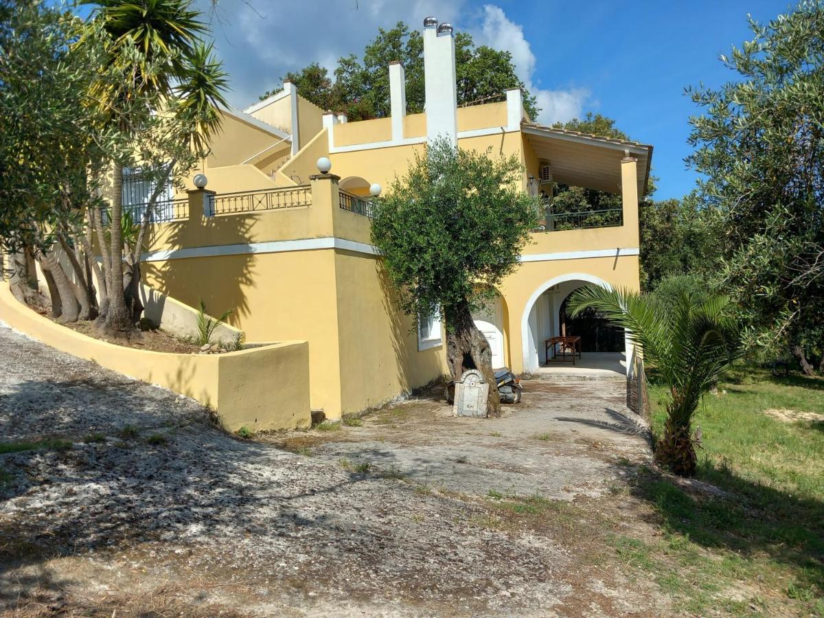 Olea Home Agia Pelagia Chlomou エクステリア 写真